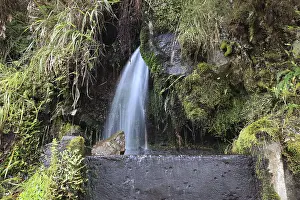 Madeira Island Landscape Drucke: Rabacal excursion area, the Levada do Risco to the 25 Fontes