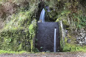 Deserted Forest Path Drucke: Rabacal excursion area, the Levada do Risco to the 25 Fontes