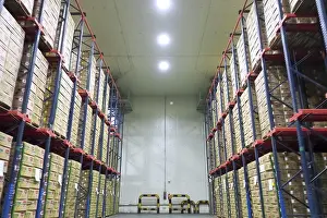 Bilder Datiert 4. Juni 2024: Racks warehouse boxes pineapples