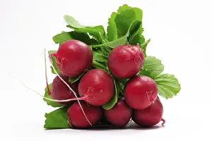 Fresh Vegetable Nutrition Drucke: Radish