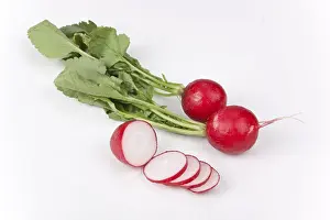 Studio Still Life Photos Drucke: Radishes