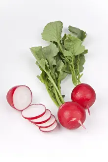 Radish Nutrition Drucke: Radishes