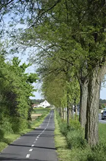 No People On The Road Drucke: Radweg