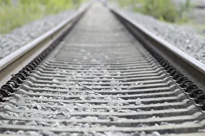 Uninhabited Train Tracks Drucke: Railroad track