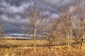 Stormy Sky Drucke: Rain clouds, sun rays, twilight