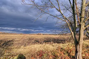 Stormy Sky Drucke: Rain clouds, sun rays, twilight