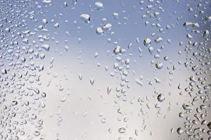 Overcast Sky Reflections Drucke: Rain drops on window as the clouds clear behind