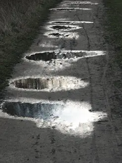 Rainy Weather Drucke: Rain puddles