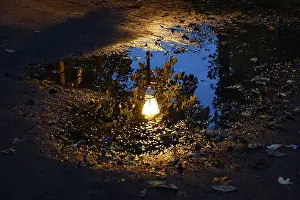 Autumn In Germany Drucke: After the rain, Reflection, Autumn, Germany