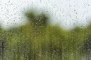 Rainy Background Drucke: Rain water drops on a window glass surface as a background