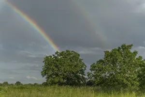 Rainbow In Rain Clouds Drucke: Rainbow appears in rain clouds in spring