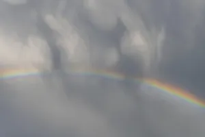 Rainbow In Rain Clouds Drucke: Rainbow appears in rain clouds in spring