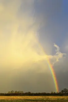 Rainbow In Cloudy Sky Drucke: Rainbow on a cloudy sky, Achim