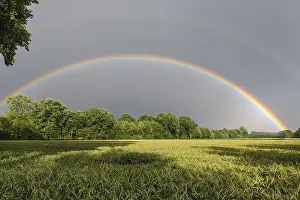 Rainbow Over Cornfield Drucke: Rainbow over a cornfield, Vechta