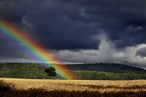 German Democratic Republic History Image Drucke: Rainbow over field in the Werratal