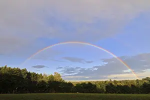 Colourful European Landscape Drucke: Rainbow over a forest, Goggingen