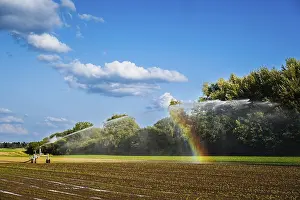 German Agricultural Landscapes Drucke: A rainbow forms on an irrigation system in a field in Dusseldorf