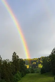 Bavarian Forest Landscape Drucke: Rainbow in a hilly landscape with forest