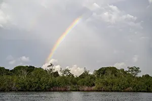 Loango National Park Gabon Drucke: Rainbow over the Iguela Lagoon