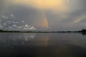 Drucke von Regenbogen über der Iguela Lagune, Loango-Nationalpark, Parc National de Loango, Provinz Ogooue-Maritime, Gabun Regenbogen über der Igula Lagune, Loango-Nationalpark, Parc National de Loango Gabun Drucke: Regenbogen über der Iguela-Lagune