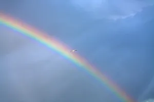 Blue Cloudy Sky Drucke: Rainbow and seagull in deep blue cloudy sky