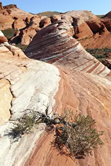 Valley Of Fire State Park Drucke: Rainbow Wave, Valley of Fire State Park