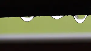 Text Free Space Photo Drucke: Three raindrops hanging on the window frame