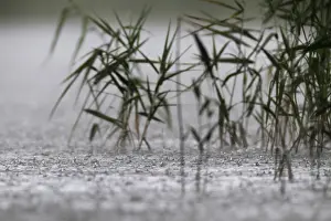 Stormy Atmosphere Europe Drucke: Raindrops, heavy rain, thunderstorm