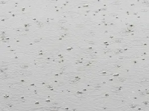 Rainy Day In Europe Drucke: Raindrops on a water surface, Germany