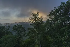 Low Mountain Range Europe Drucke: Rainy mood in the Thuringian Forest