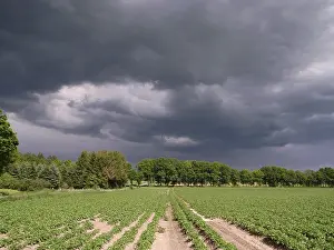 Cloudy Weather Forecast Drucke: Rainy weather