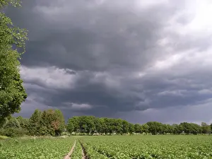 Rainy Weather Drucke: Rainy weather