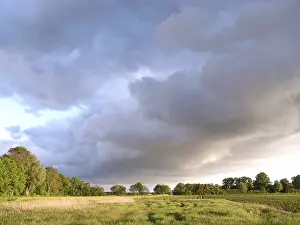Rainy Weather Drucke: Rainy weather