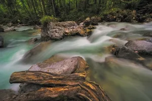 Mountain Torrent Photography Drucke: Ramsauer Ache in the Magic Forest