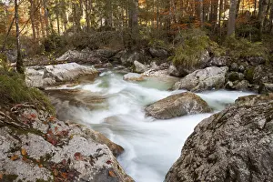 Long Exposure Outdoor Shots Drucke: Ramsauer Ache River in the enchanted forest