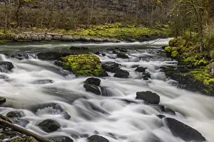 Switzerland Landscape Photography Drucke: Rapids and bogs full of moss, Saut du Doubs