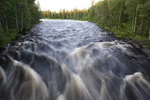 Drucke von Strudel der Raudanjoki-Fluss umgeben von dichtem Wald, Saarenkyla, Lappland, Finnland Strudel des Raudanjoki-Flusses umgeben von dichtem Wald, Saarenkylä, Lappland, Finnland Fluss Drucke: Rapids der Raudanjoki River umgeben von dichtem Wald.