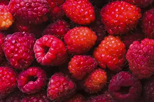 Empty Plate With Raspberries Drucke: The raspberries close up as a background