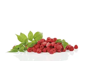 Fresh Raspberries Drucke: Raspberries with raspberry leaves