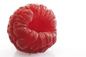 Fresh Raspberries Drucke: Raspberry
