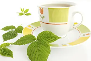 Raspberry Health Benefits Drucke: Raspberry leaf (Rubus idaeus) on a teacup