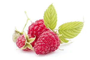 Studio Shot Dessert Drucke: Raspberry pill with leaves on white background