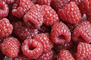 Healthy Eating Habits Tips Drucke: Raspberrys