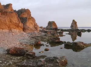 Scandinavian Nature Reserve Drucke: Raukar