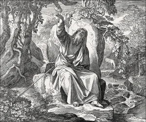 Amseln ernähren sich Eliahu aus dem Alten Testament