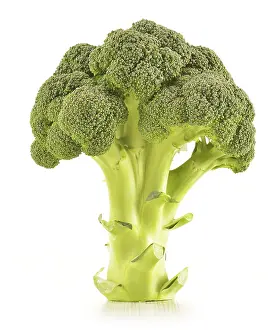 Vegetarian Food Options Drucke: Raw broccoli isolated on white