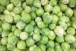Full Frame Vegetable Photography Drucke: Raw Brussels sprouts