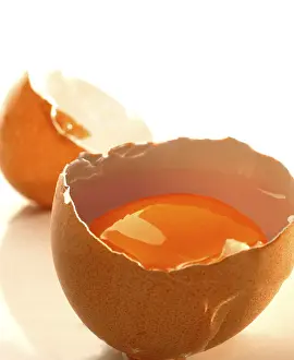 Egg Yolk Nutrition Facts Drucke: Raw egg, broken open, shell