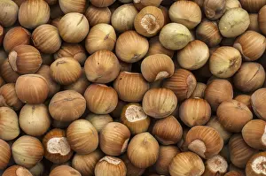 Appetizing Food Drucke: Raw hazelnuts with shell closeup as background