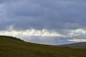 Nature Photography UK Drucke: Rays of light break through the clouds above a hill with trees